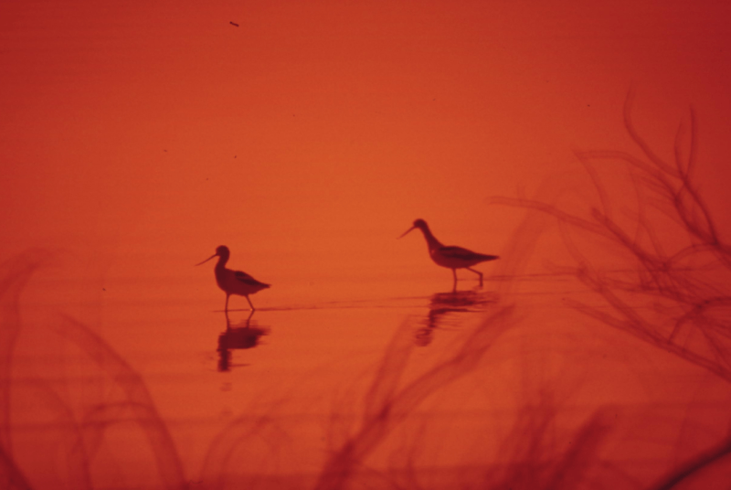 Un eclipse, un espejo: lo que este fin de semana nos&nbsp;recordó